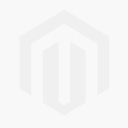 Hyacinthoides non-scripta ITG